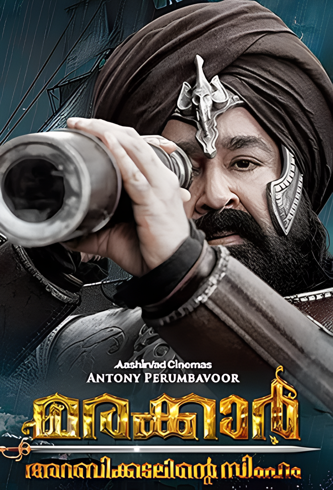 马拉喀尔：阿拉伯海狮